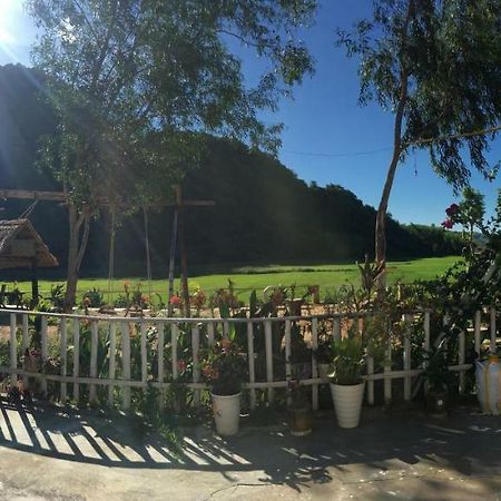 Phong Nha Rice Field Homestay Εξωτερικό φωτογραφία