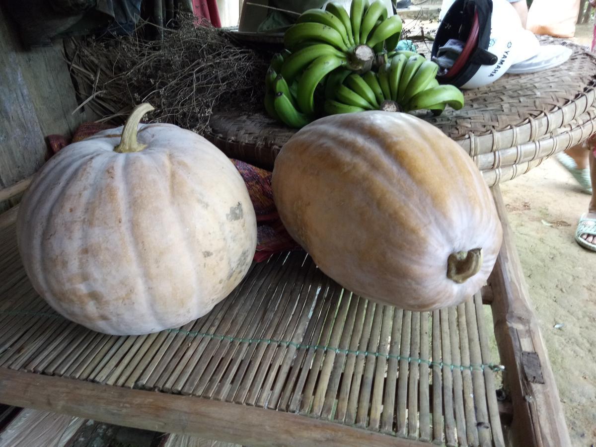 Phong Nha Rice Field Homestay Εξωτερικό φωτογραφία