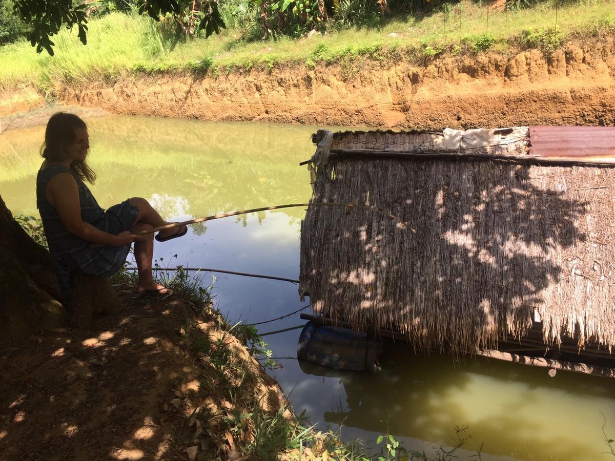 Phong Nha Rice Field Homestay Εξωτερικό φωτογραφία