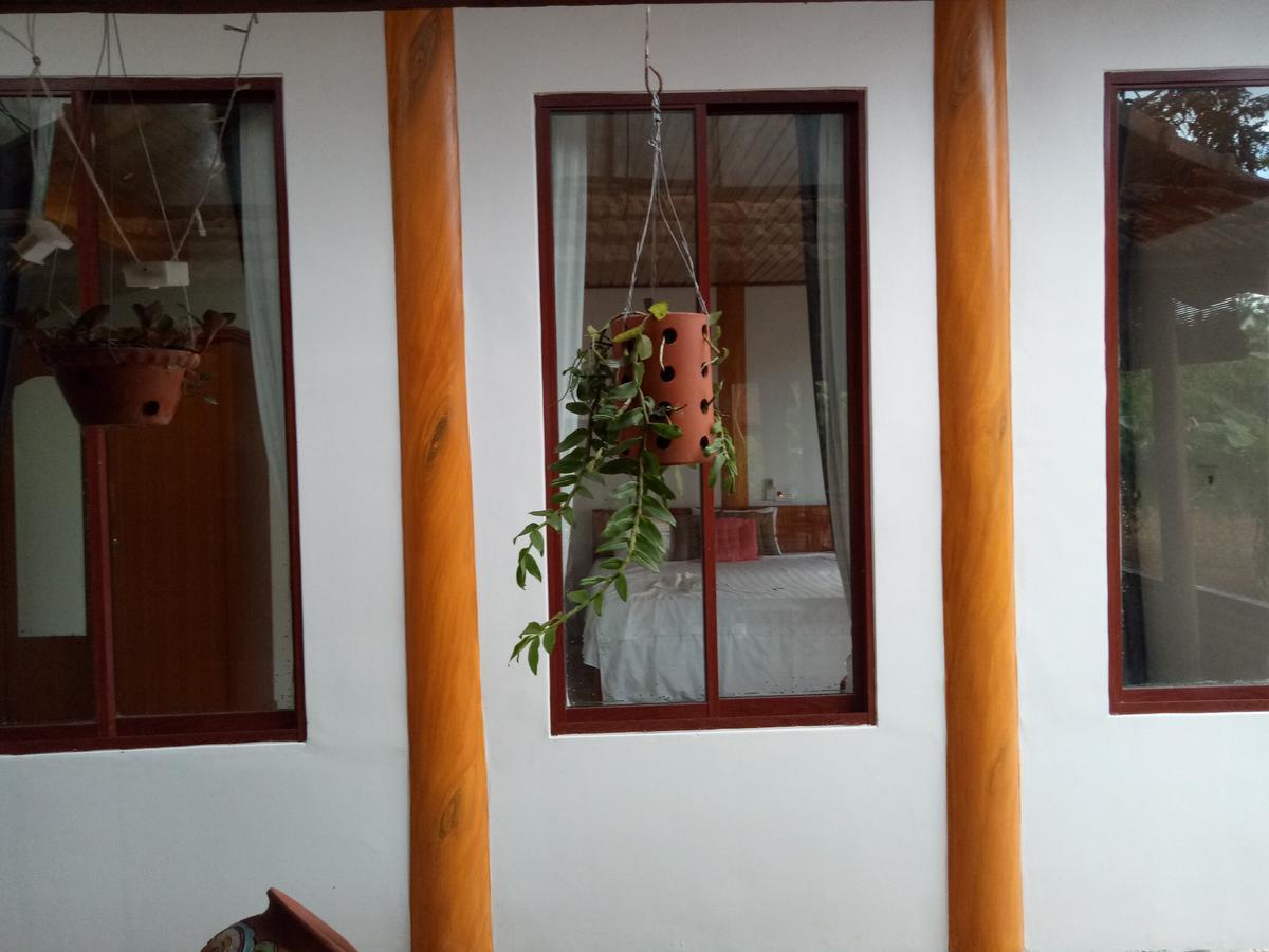 Phong Nha Rice Field Homestay Εξωτερικό φωτογραφία