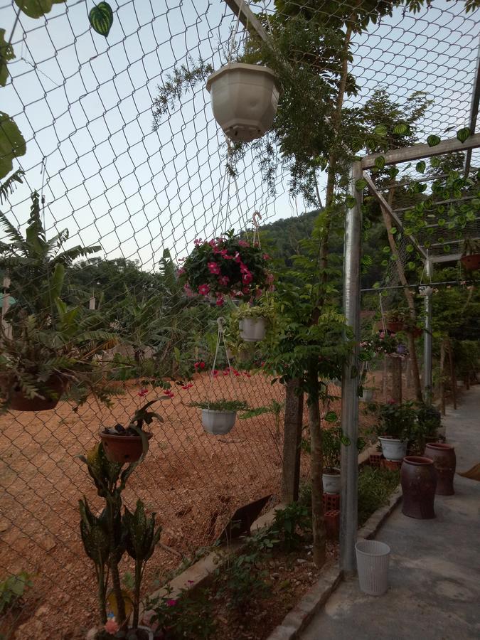 Phong Nha Rice Field Homestay Εξωτερικό φωτογραφία