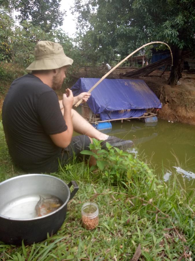 Phong Nha Rice Field Homestay Εξωτερικό φωτογραφία